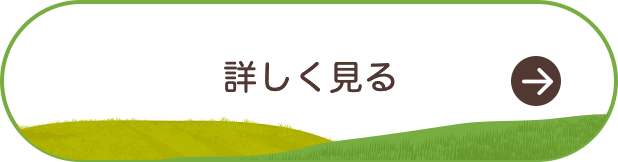 詳しく見る