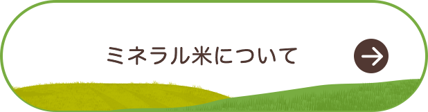 事業内容はこちら