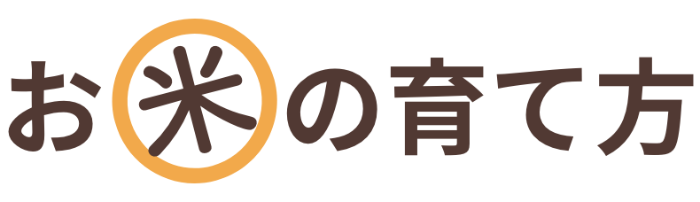 お米の育て方