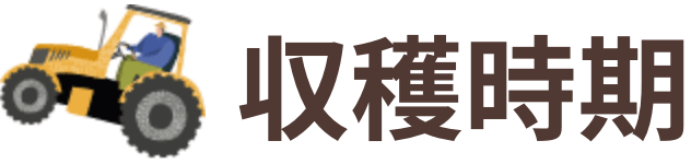 収穫時期